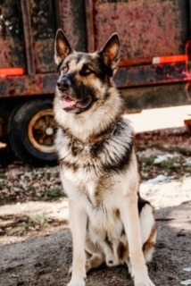 Balto