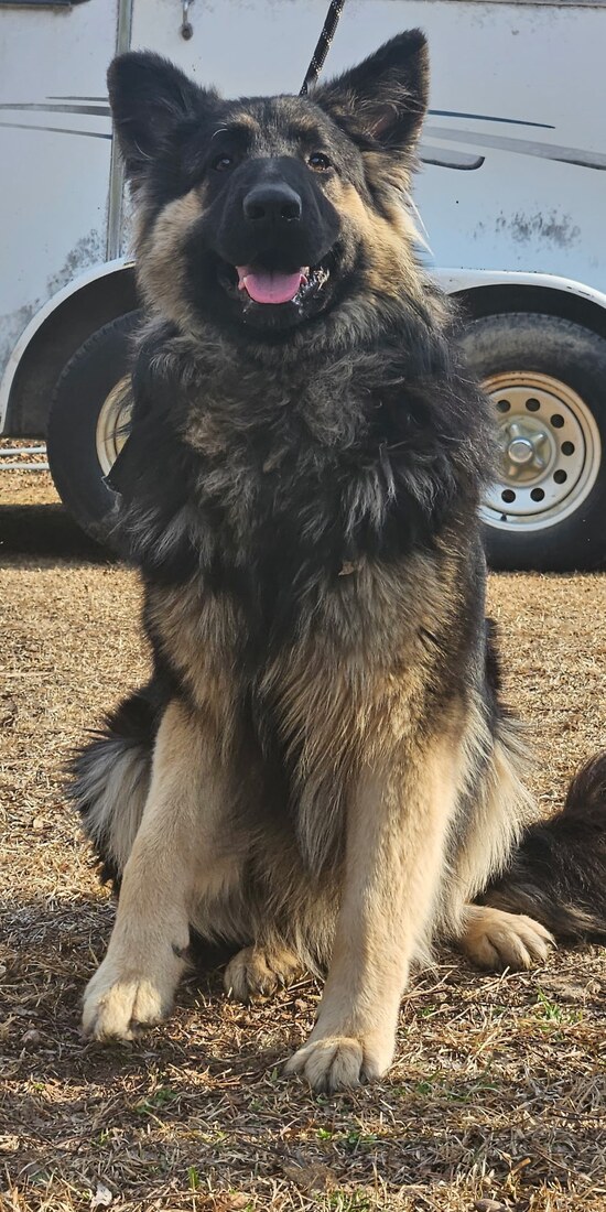 Duke