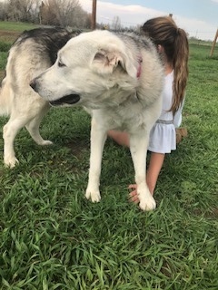 Lakota
