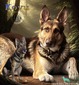 Shambo Shepherds Kovu (Kovu)